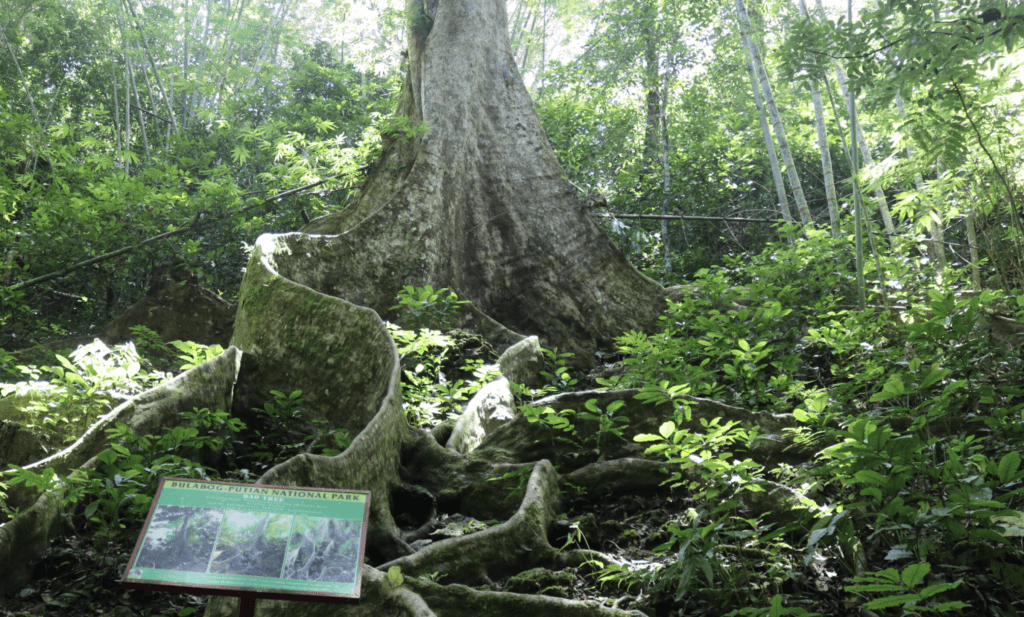 National Parks in Philippines | (Official GANP Page)